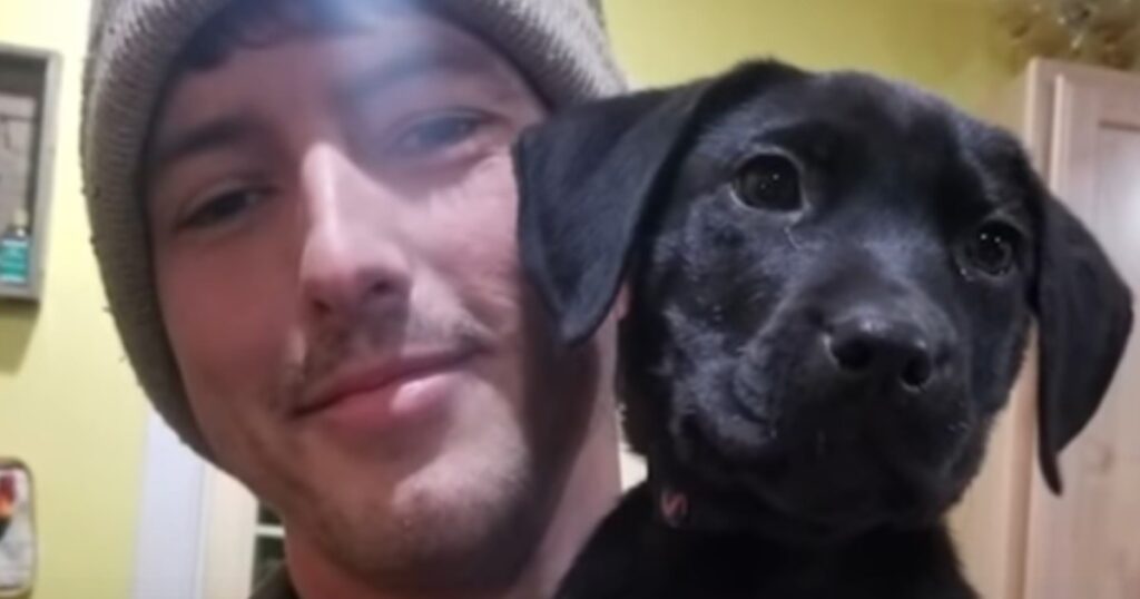 Den döva mannen adopterar en döv hund – se bara nu när de talar teckenspråk med varandra