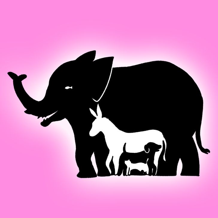 Kluringen: Det finns 9 djur i den här bilden. Kan du hitta alla? Endast 1 av 10 klarar detta.