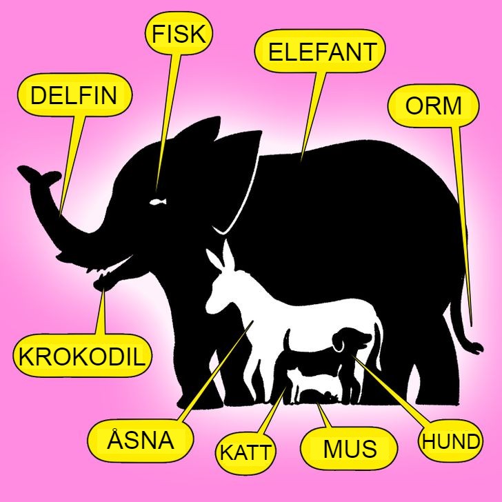 Kluringen: Det finns 9 djur i den här bilden. Kan du hitta alla? Endast 1 av 10 klarar detta. Svaret!