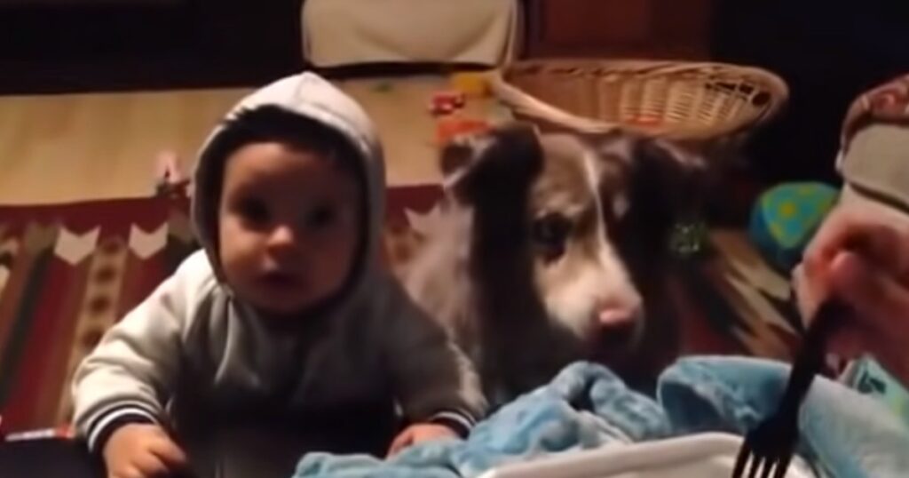 En mors försök att höra sitt barn säga 'Mamma' tar en oväntad och skrattframkallande vändning tack vare hundens talang