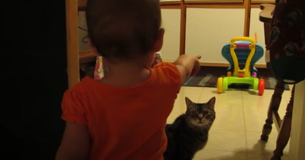 Han såg sin lilla flicka och katt samtala - då tog han fram kameran och började filma