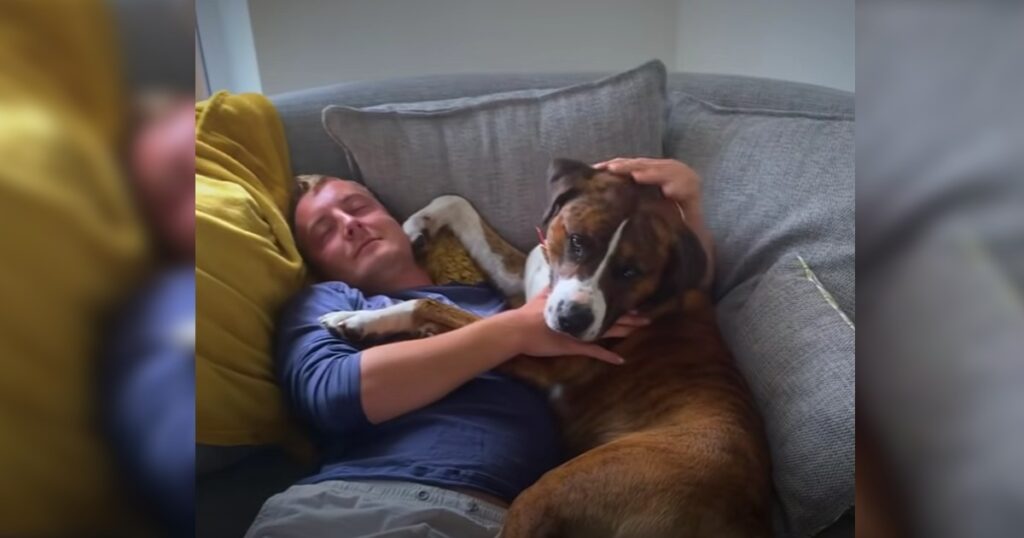 Han tog hand om en gatuhund i nöd - nu vill den inte sluta krama honom