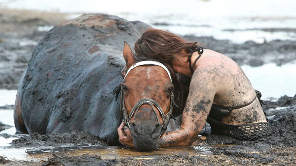 Hon sitter fast i leran med sin häst - men hjälpen dök upp från ett oväntat håll