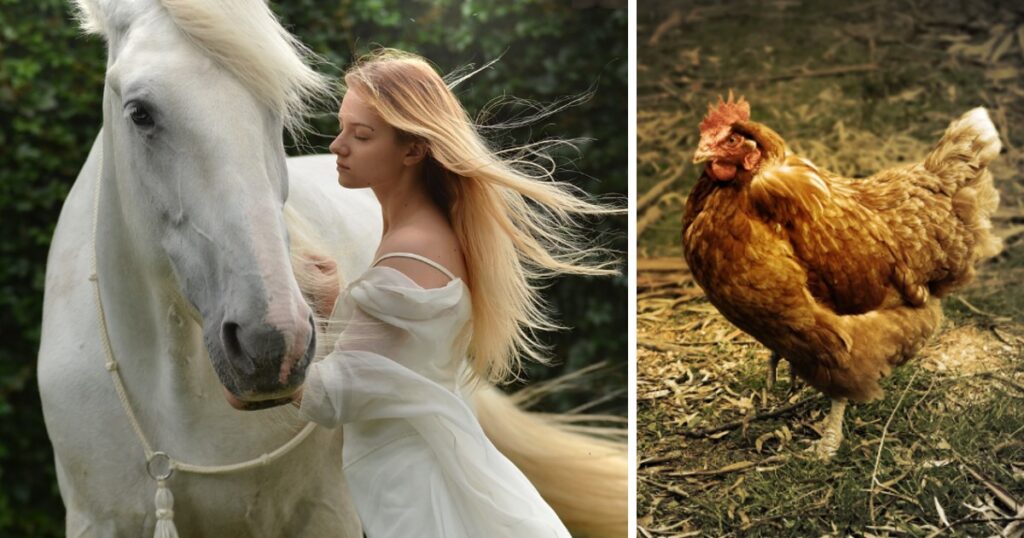 Sensmoralen i denna underhållande historia fick oss verkligen att bryta ut i skratt